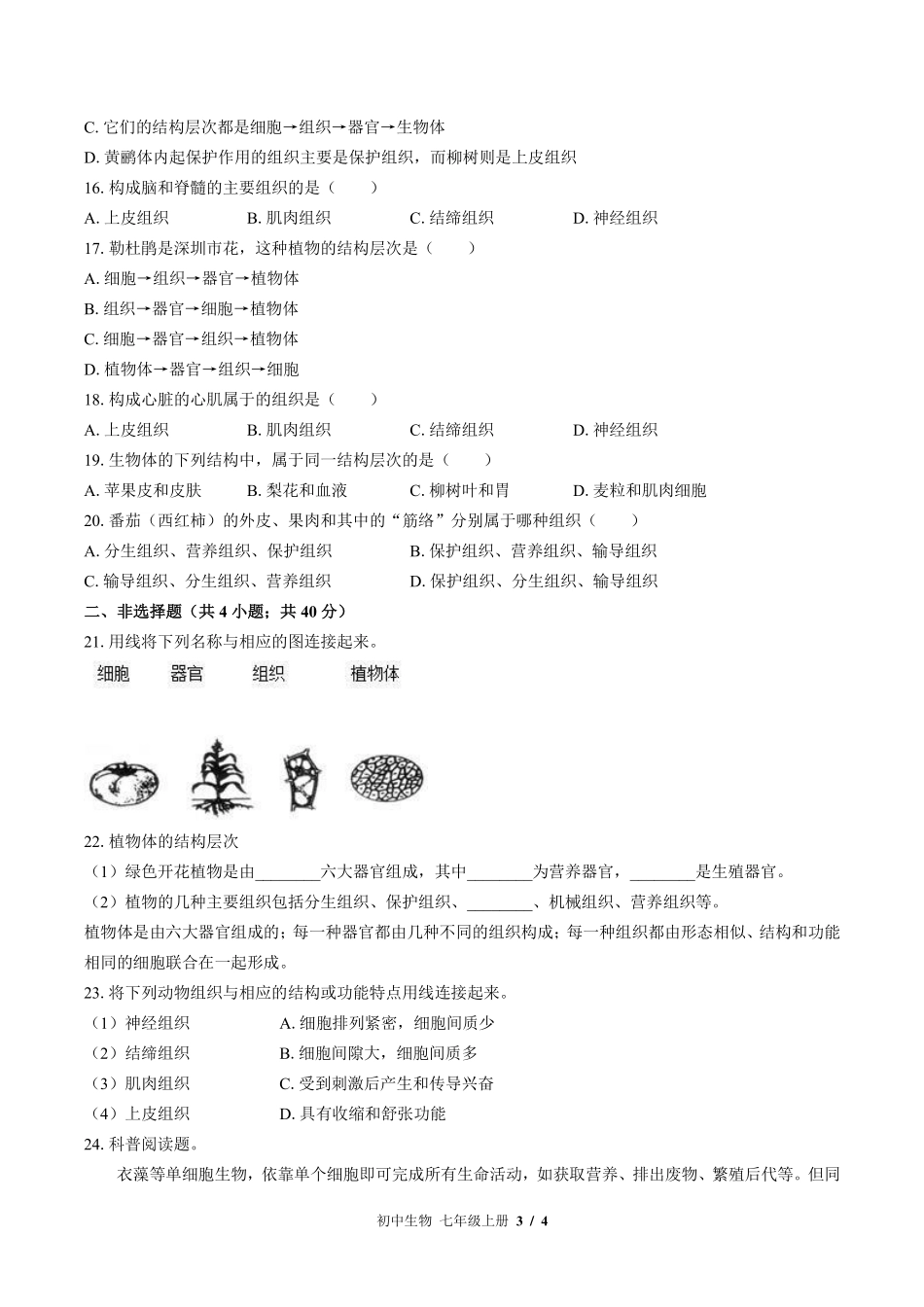 （北师大版）初中生物七年级上册 第4章综合测试及答案01.pdf_第3页