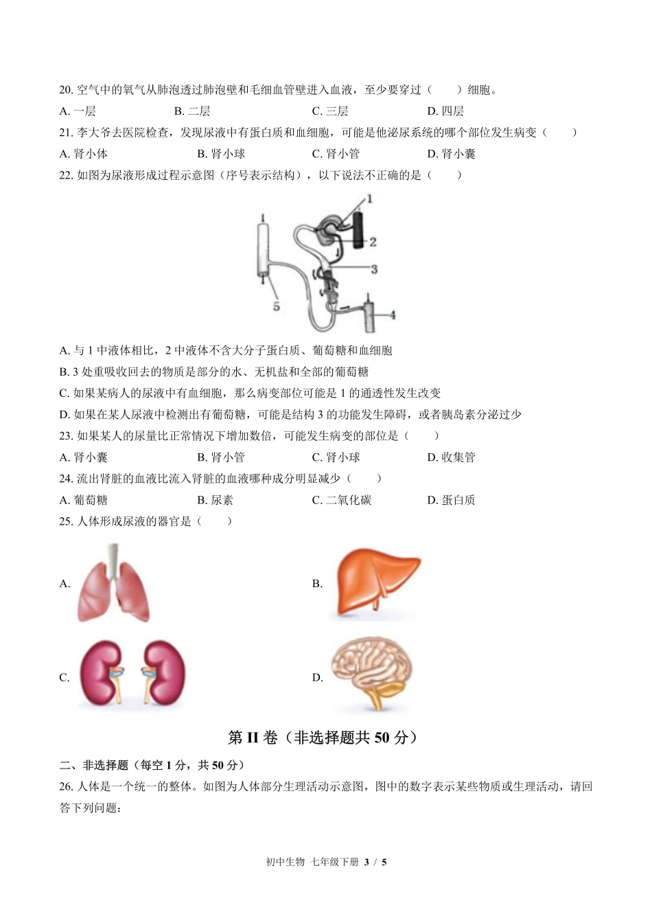 （北师大版）初中生物七年级下册 期中测试及答案01.pdf_第3页