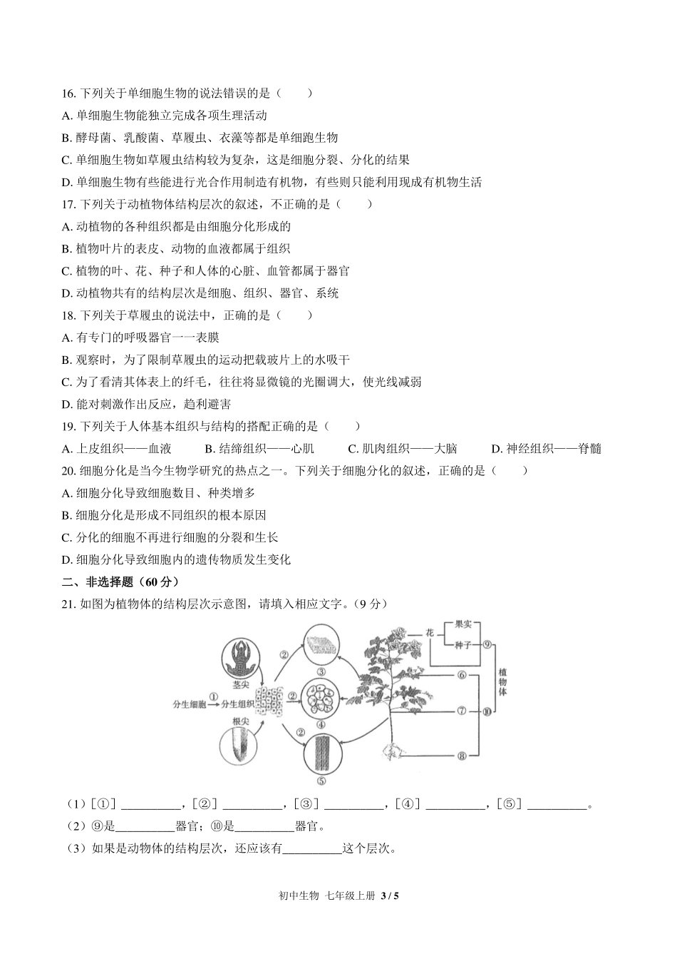 （人教版）初中生物七年级上册 第二单元第二章综合测试及答案03.pdf_第3页