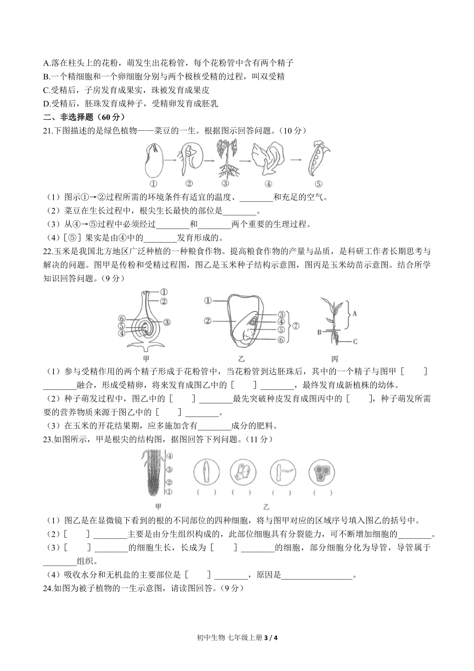 （人教版）初中生物七年级上册 第三单元第二章综合测试及答案02.pdf_第3页