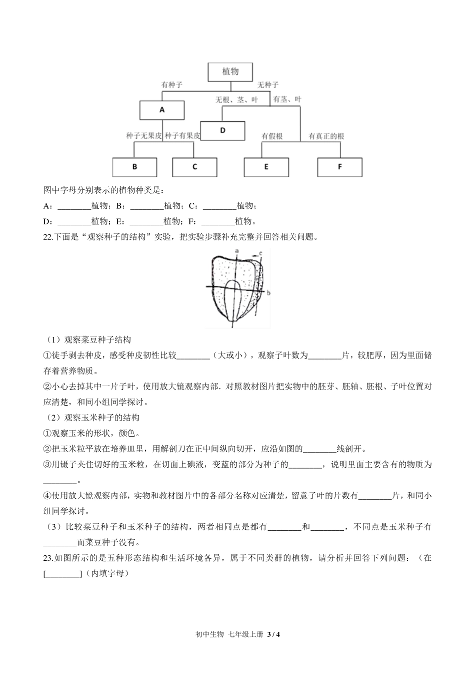 （人教版）初中生物七年级上册 第三单元第一章综合测试及答案03.pdf_第3页