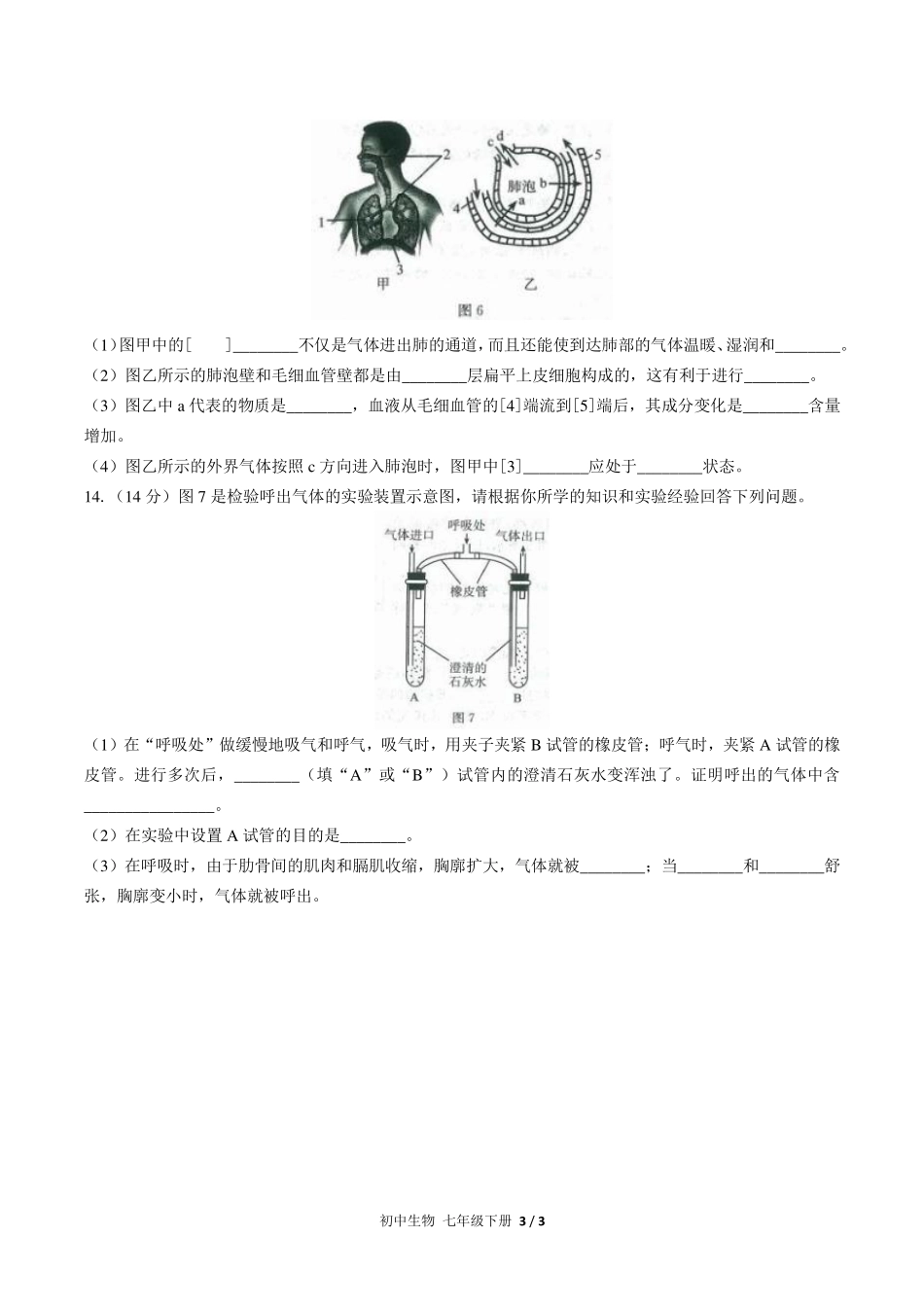 （人教版）初中生物七年级下册 第四单元第三章综合测试及答案02.pdf_第3页