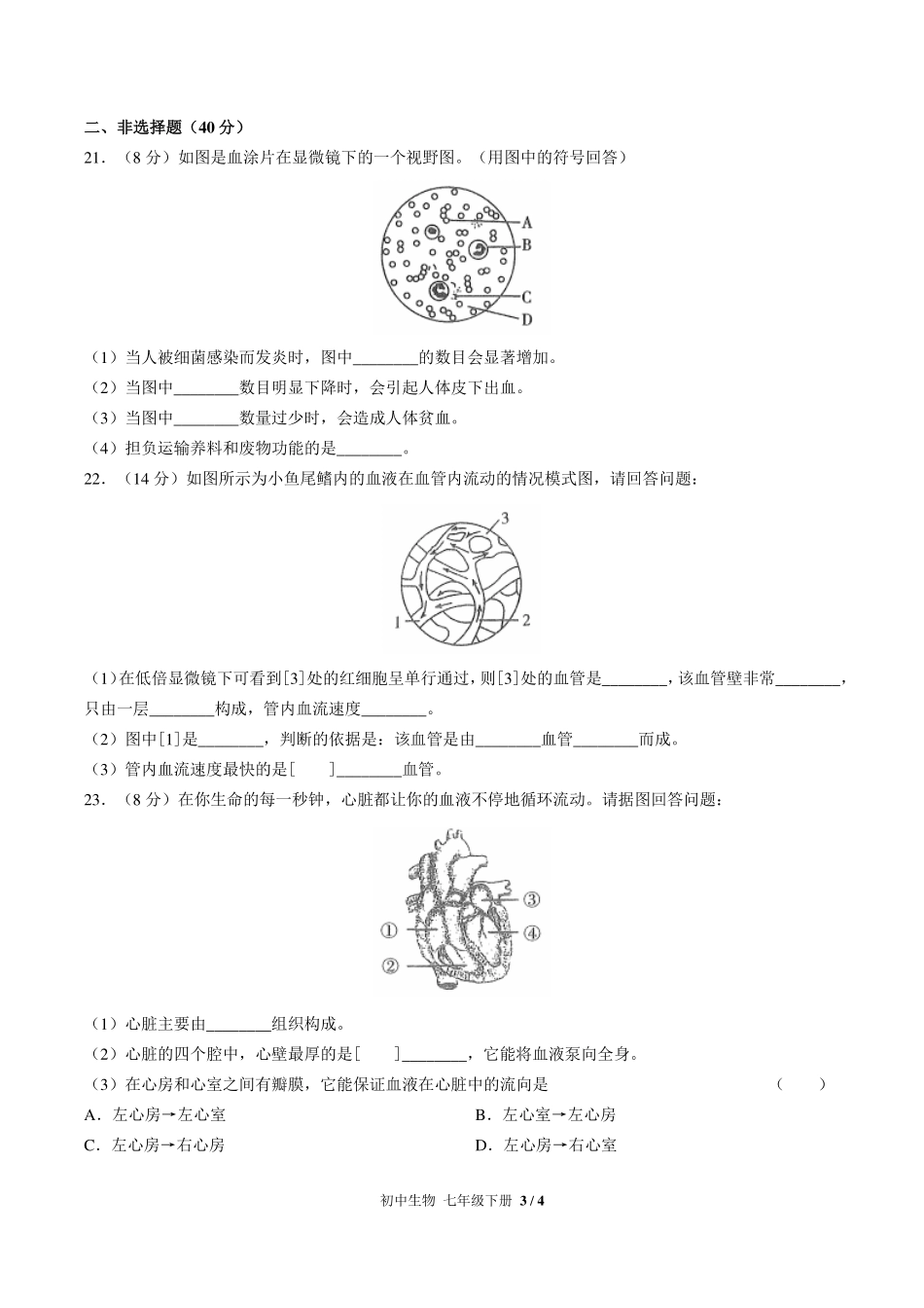 （人教版）初中生物七年级下册 第四单元第四章综合测试及答案02.pdf_第3页