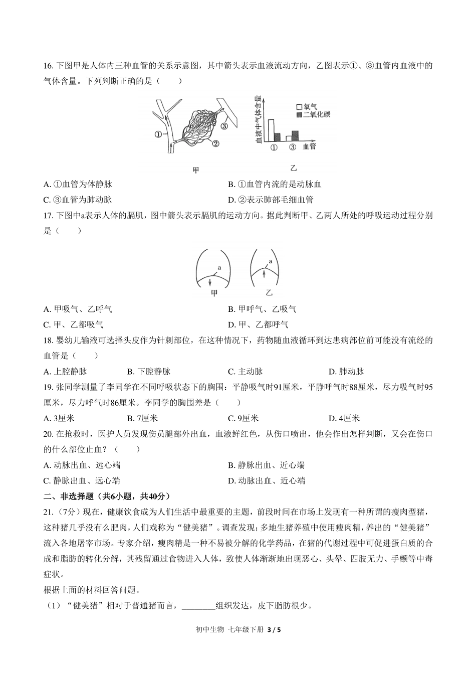 （人教版）初中生物七年级下册 期中测试及答案03.pdf_第3页