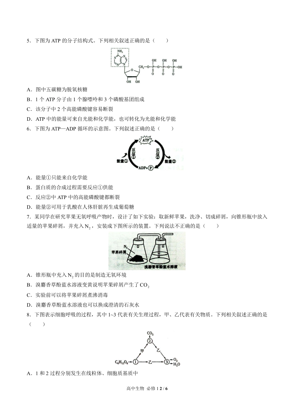 （人教版2017课标）高中生物必修1 第5章综合测试及答案01.pdf_第2页