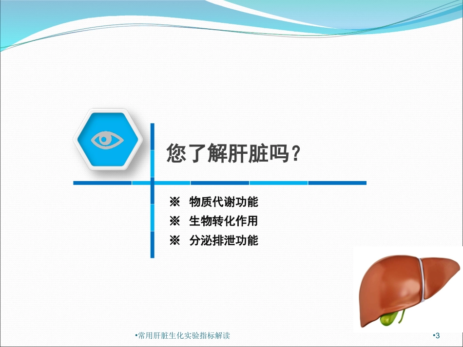 常用肝脏生化实验指标解读培训课件.pptx_第3页
