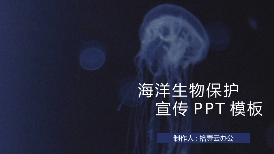 动物日 保护野生濒危动物 76.pptx_第1页