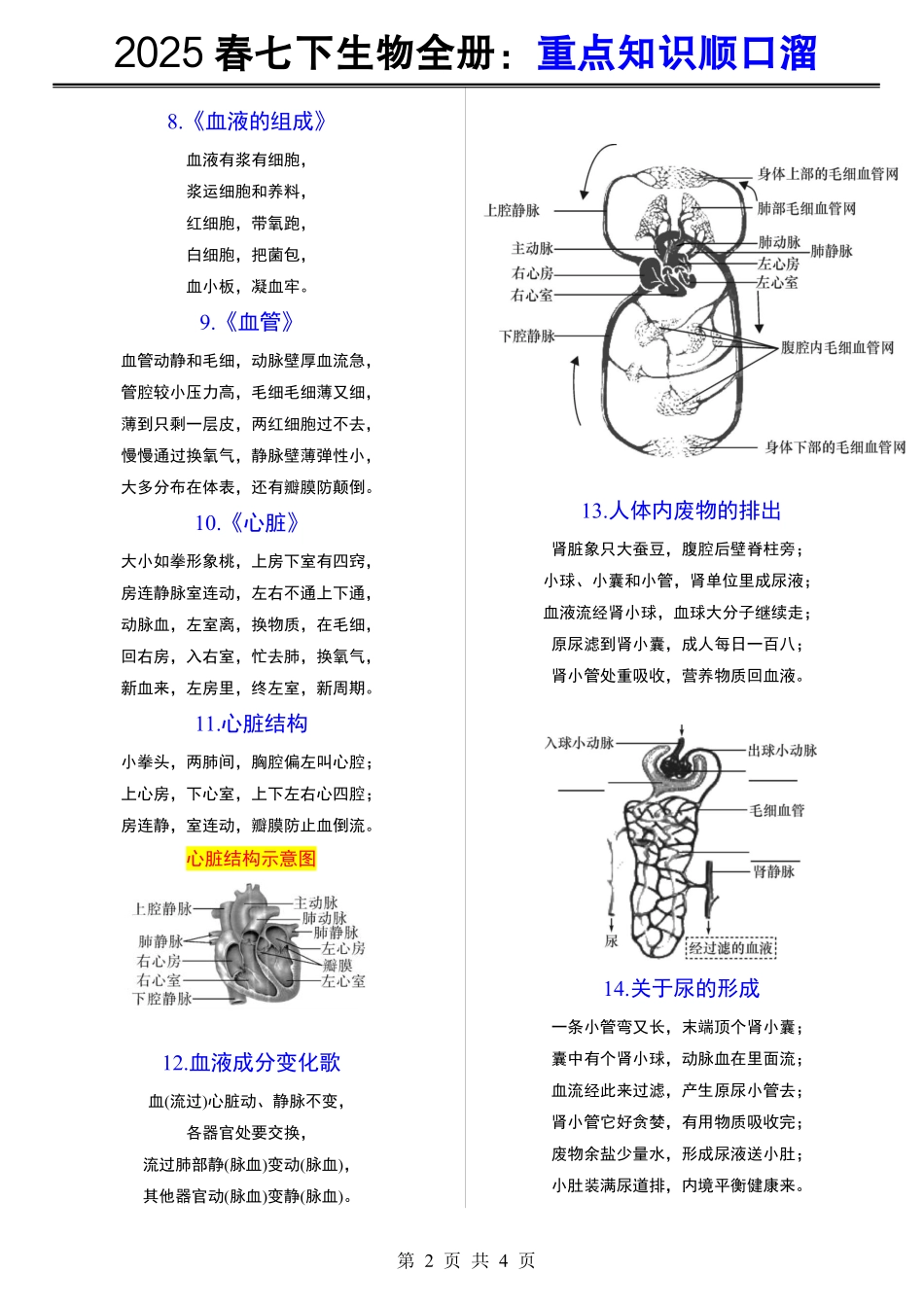 2025春七年级下册生物全册：重点知识顺口溜.pdf_第2页