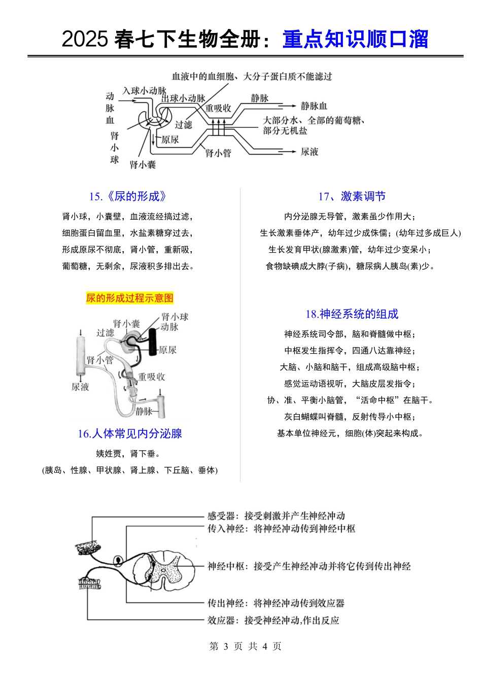 2025春七年级下册生物全册：重点知识顺口溜.pdf_第3页