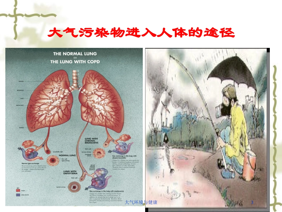 大气环境与健康培训课件.pptx_第3页