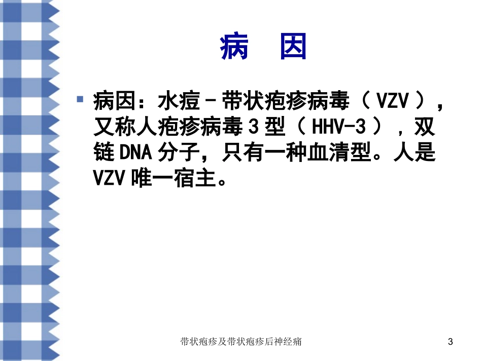 带状疱疹及带状疱疹后神经痛培训课件.pptx_第3页