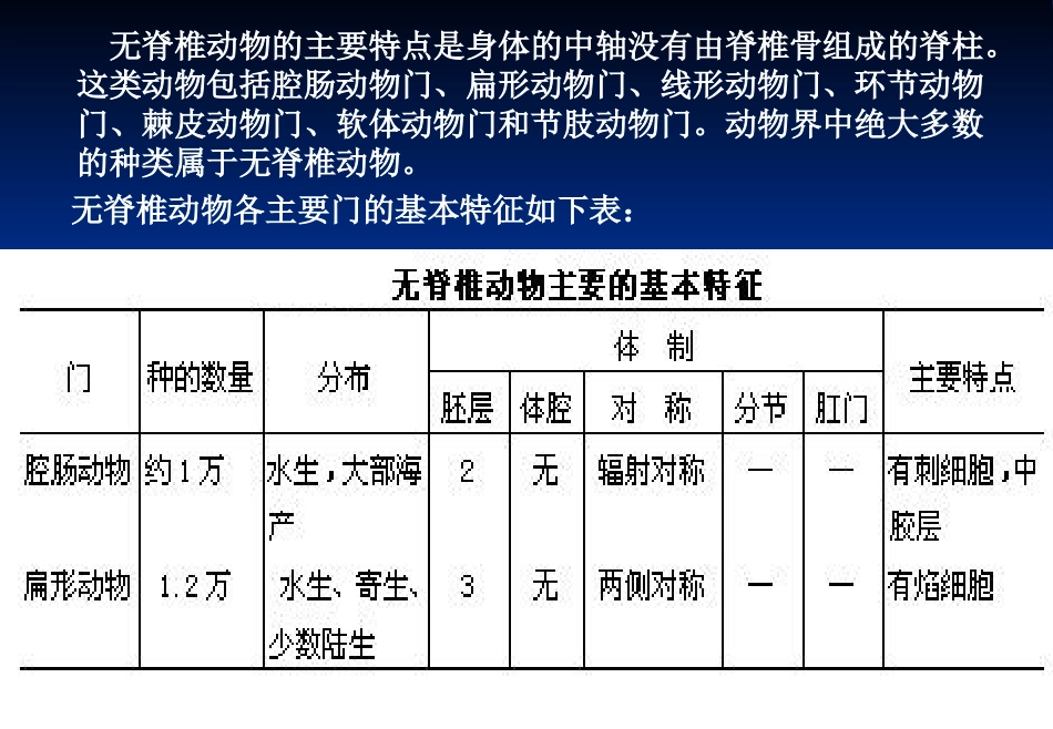 动物解剖和分类讲座培训课件.pptx_第2页