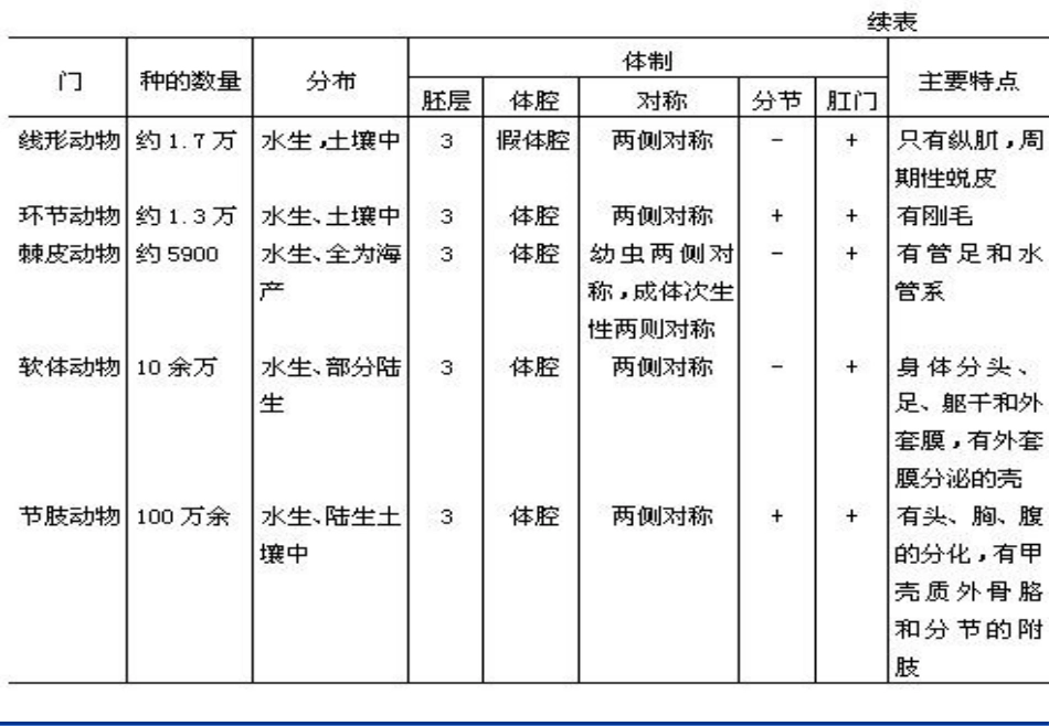 动物解剖和分类讲座培训课件.pptx_第3页