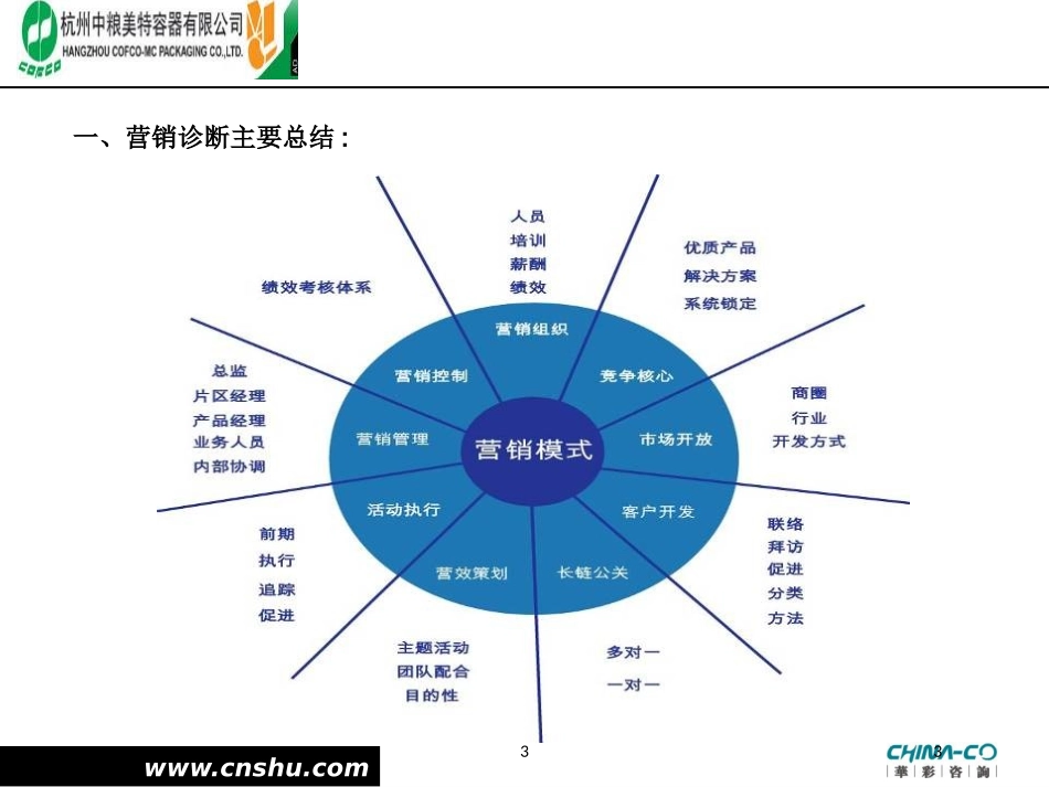公司营销管理现状诊断报告培训课件.pptx_第3页