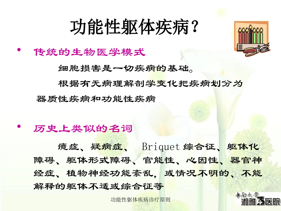 功能性躯体疾病诊疗原则培训课件.pptx_第2页