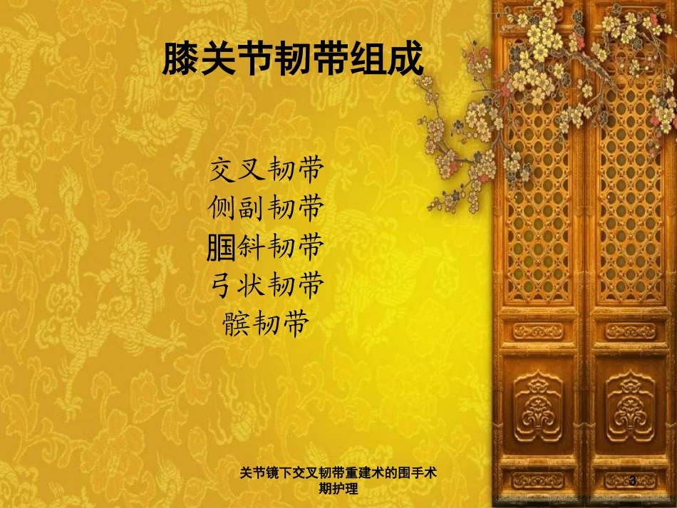 关节镜下交叉韧带重建术的围手术期护理培训课件.pptx_第3页