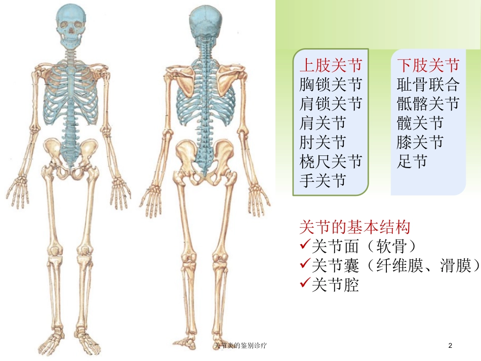 关节炎的鉴别诊疗培训课件.pptx_第2页