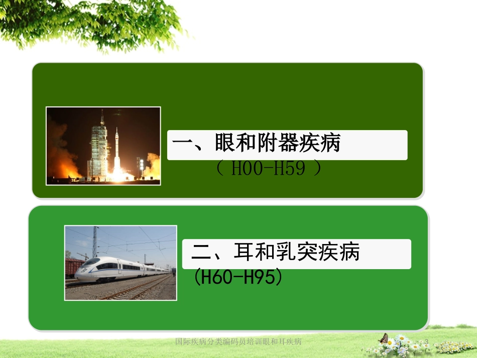 国际疾病分类编码员培训眼和耳疾病培训课件.pptx_第3页