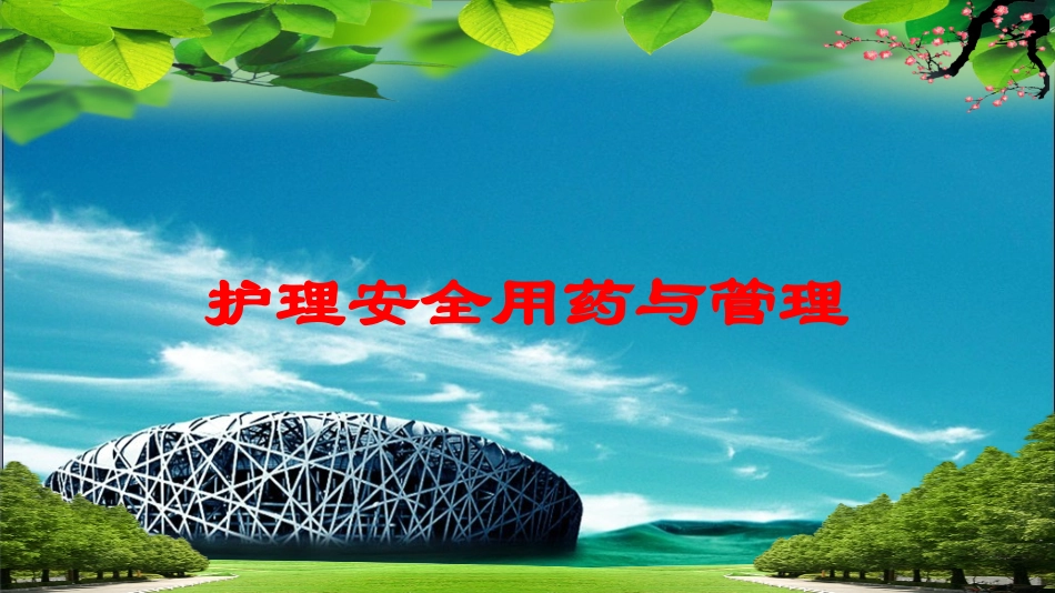 护理安全用药与管理培训课件.pptx_第1页