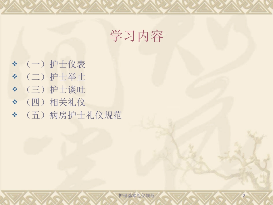 护理基本礼仪规范培训课件.pptx_第2页