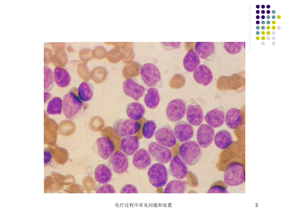 化疗过程中常见问题和处置培训课件.pptx_第3页