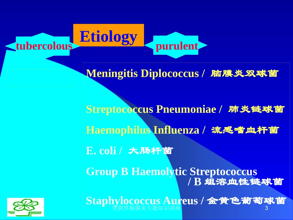 化脓性脑膜炎专题知识讲座培训课件.pptx_第3页