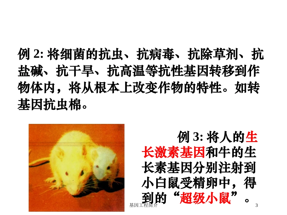 基因工程简介培训课件.pptx_第3页