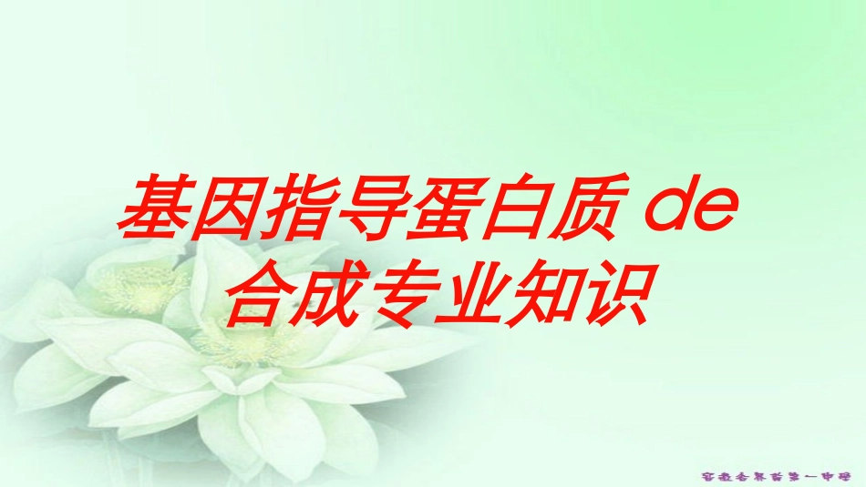 基因指导蛋白质的合成专业知识培训课件.pptx_第1页