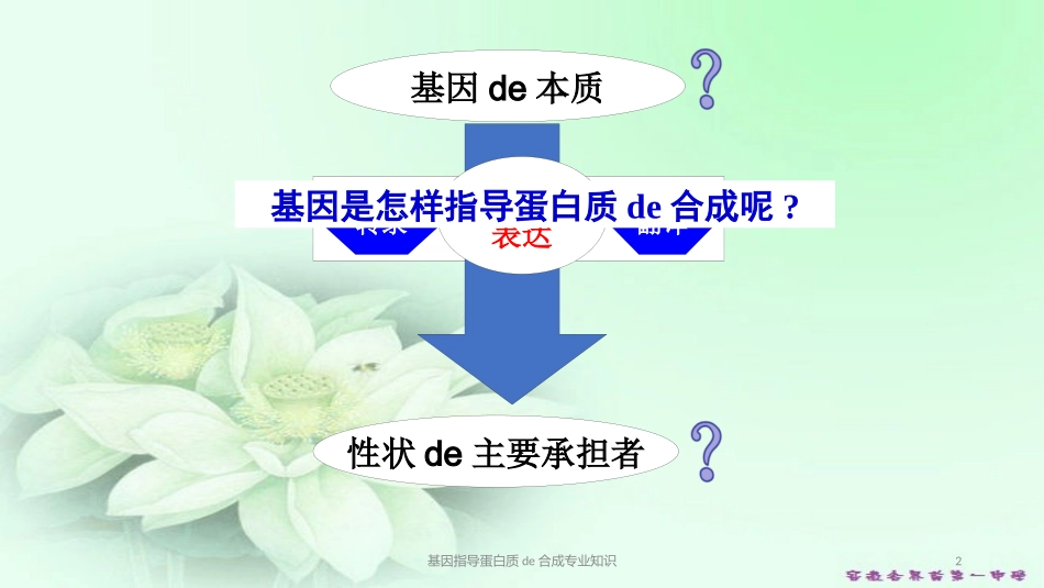 基因指导蛋白质的合成专业知识培训课件.pptx_第2页