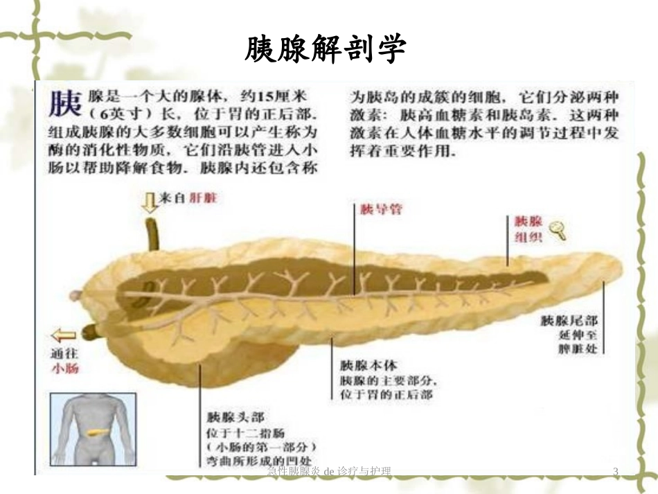 急性胰腺炎的诊疗与护理培训课件.pptx_第3页