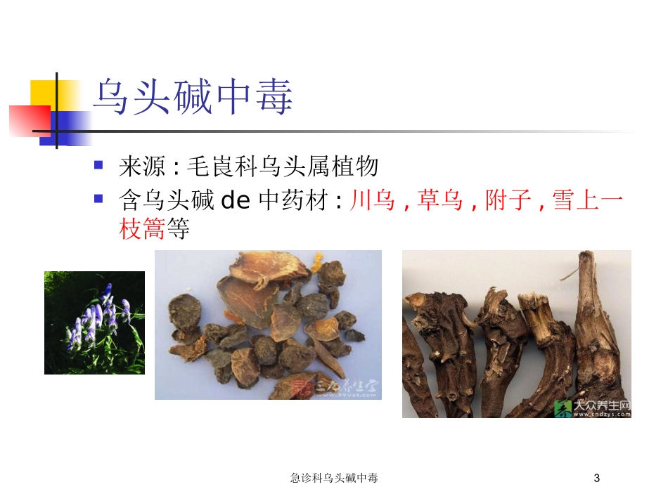 急诊科乌头碱中毒培训课件.pptx_第3页