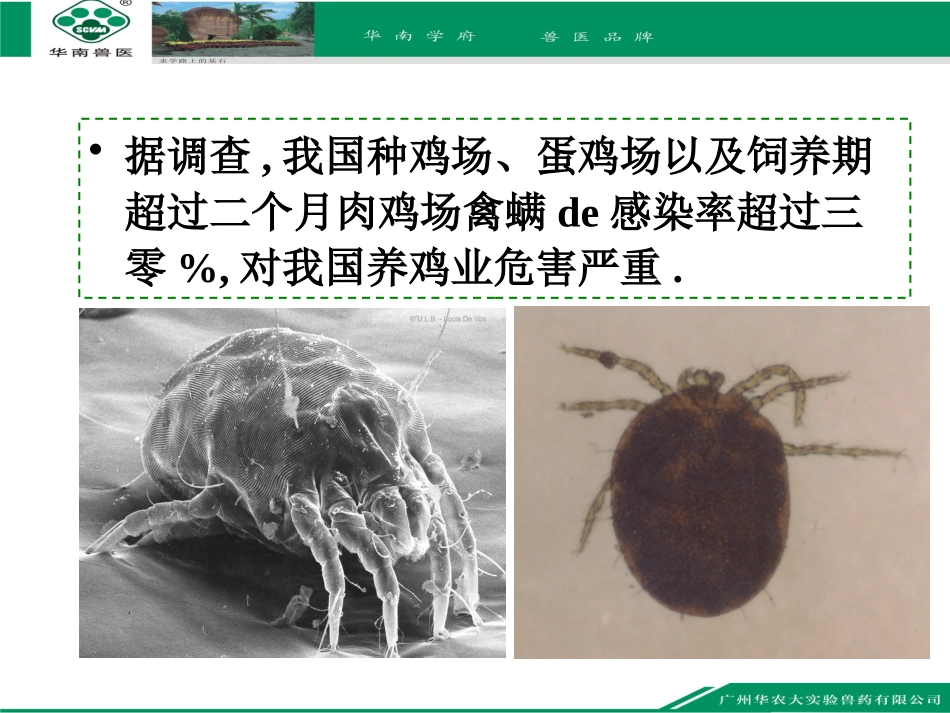 家禽螨虫病的治疗方法培训课件.pptx_第2页