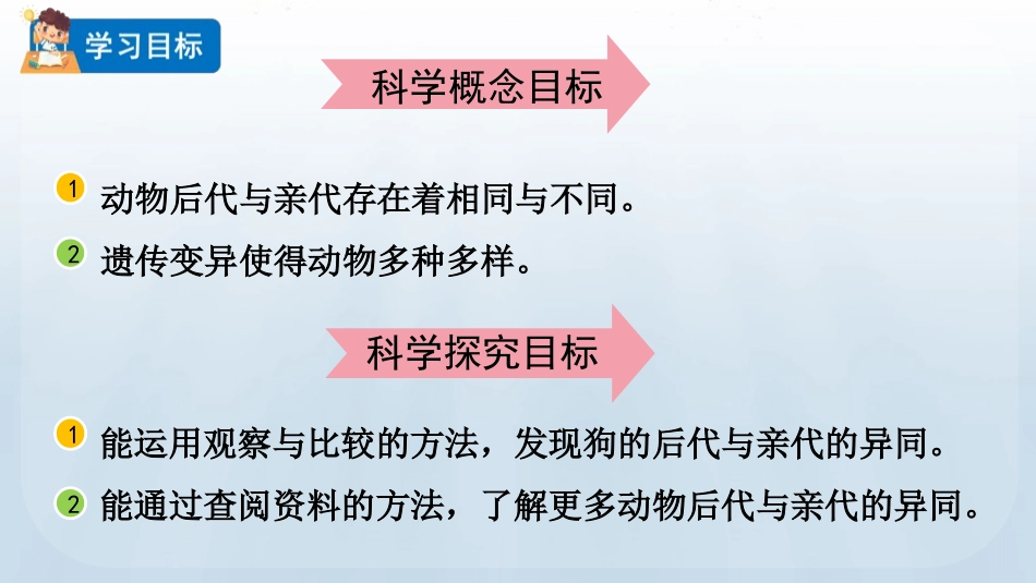 教科版科学六年级下册《多种多样的动物》教学课件.pptx_第3页