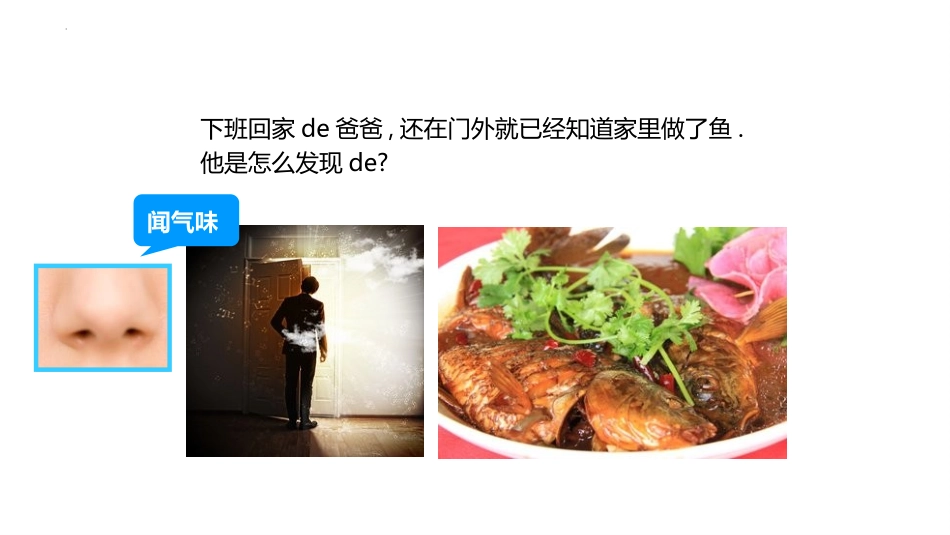 教科版一年级科学下册《发现物体的特征》课件4.pptx_第3页