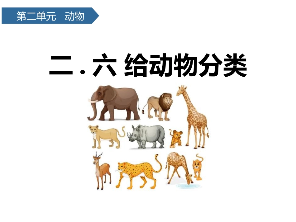 教科版一年级科学下册《给动物分类》课件8.pptx_第1页