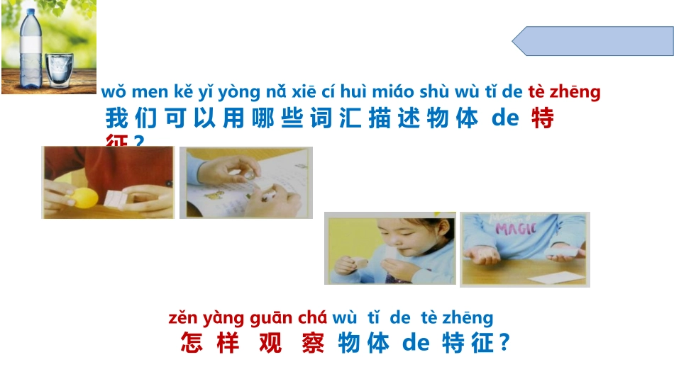 教科版一年级科学下册《观察一瓶水》课件11.pptx_第2页