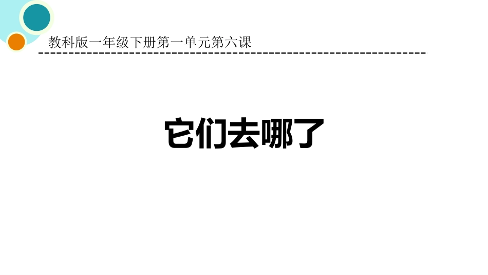 教科版一年级科学下册《它们去哪了》课件3.pptx_第1页