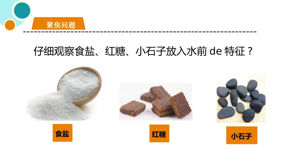 教科版一年级科学下册《它们去哪了》课件3.pptx_第3页