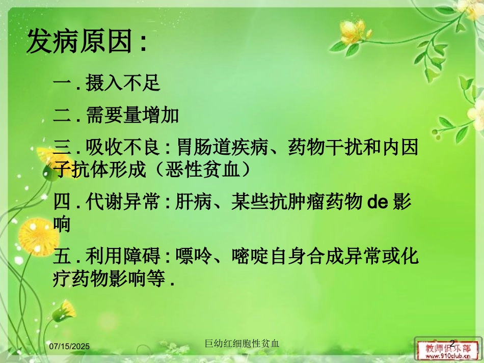 巨幼红细胞性贫血课件.pptx_第2页