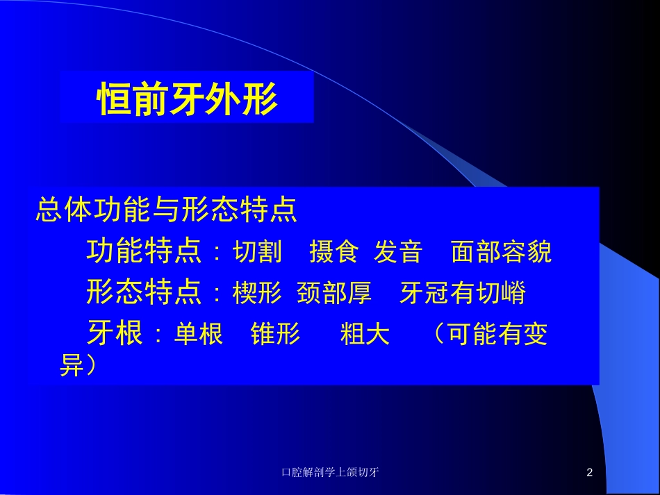 口腔解剖学上颌切牙培训课件.pptx_第2页