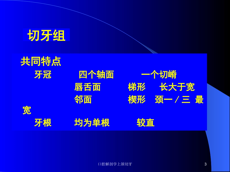 口腔解剖学上颌切牙培训课件.pptx_第3页