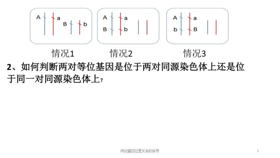两对基因位置关系的探寻培训课件.pptx_第3页