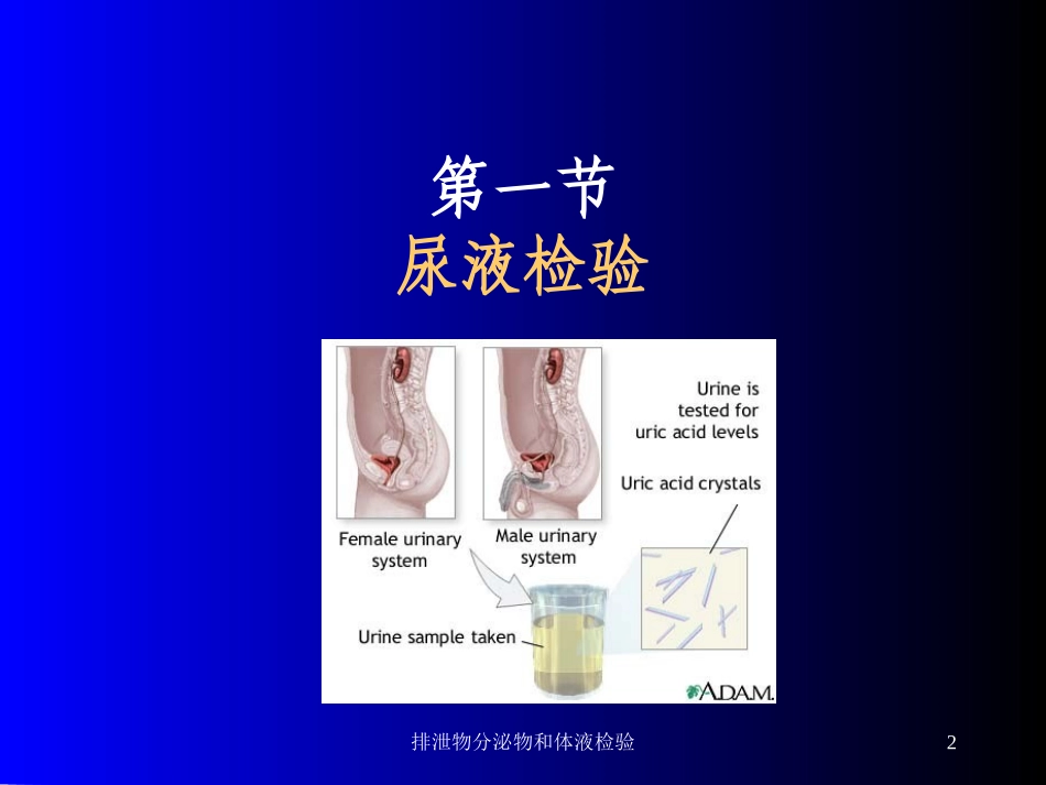 排泄物分泌物和体液检验培训课件.pptx_第2页