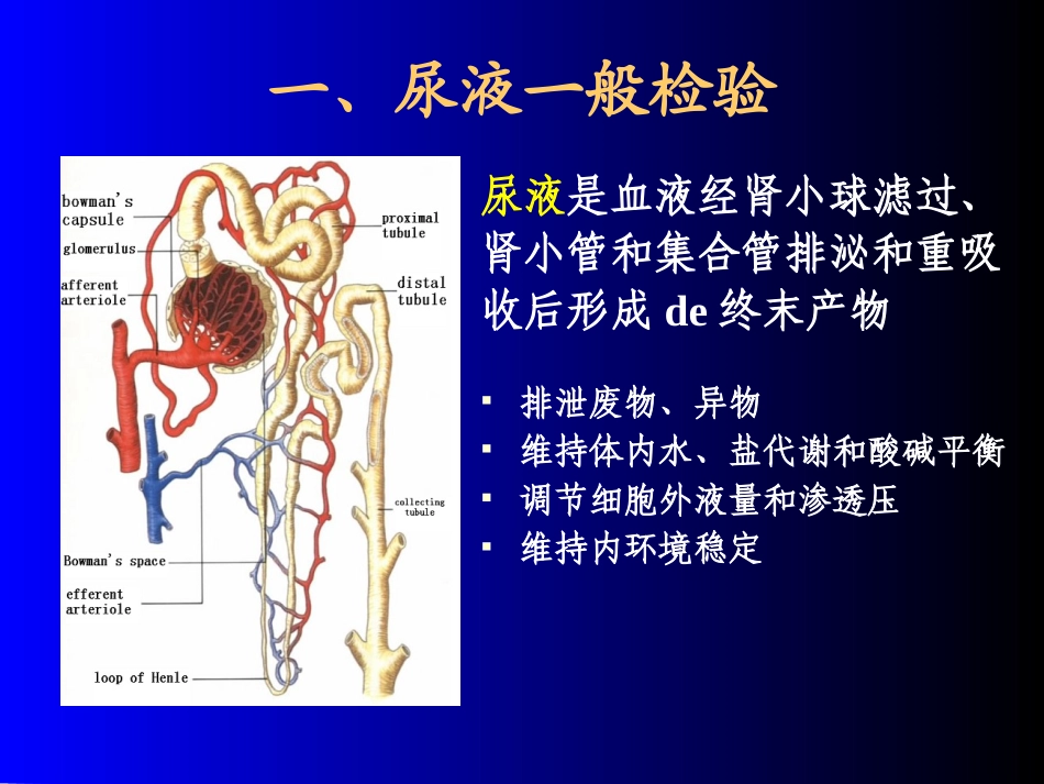 排泄物分泌物和体液检验培训课件.pptx_第3页