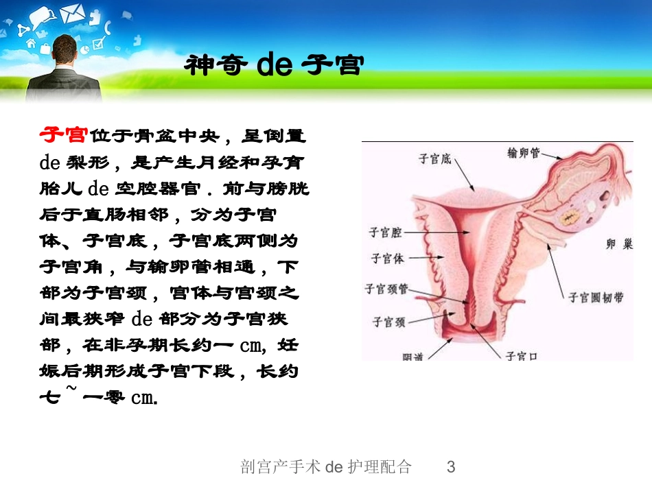 剖宫产手术的护理配合培训课件.pptx_第3页