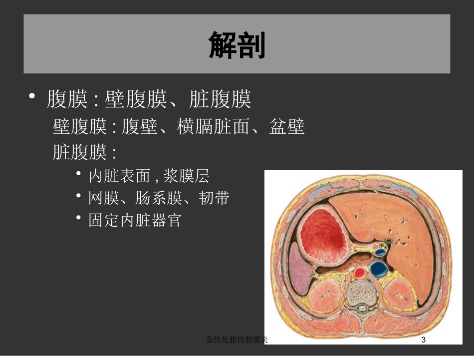 急性化脓性腹膜炎培训课件.pptx_第3页