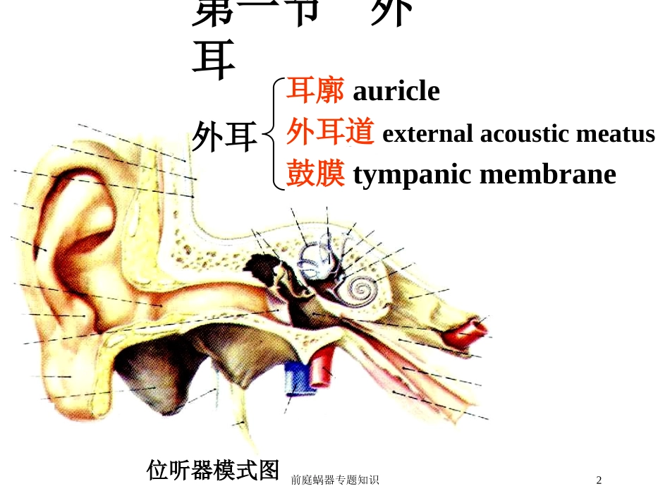 前庭蜗器专题知识培训课件.pptx_第2页