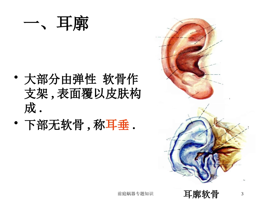 前庭蜗器专题知识培训课件.pptx_第3页