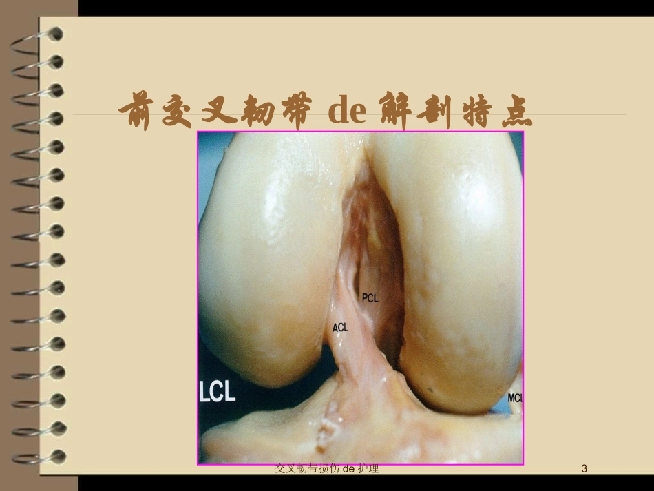 交叉韧带损伤的护理培训课件.pptx_第3页