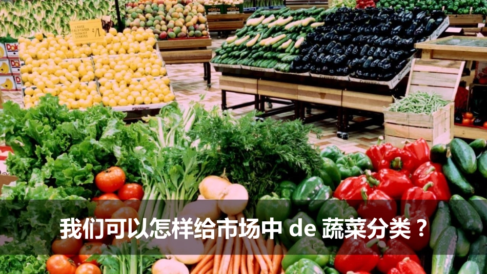 教科版一年级科学下册《给物体分类》课件3.pptx_第2页